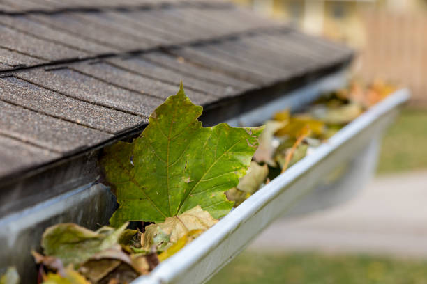 Expert Gutter Cleaning Keep Your Gutters Flowing Freely